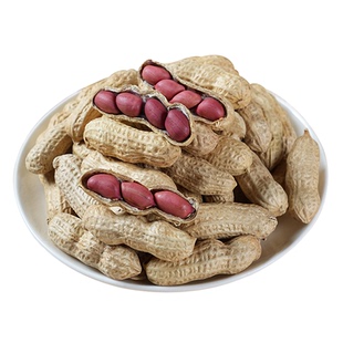 四川新鲜带壳花生生的红皮花生米本地农家下酒晒干原味花生粒新货