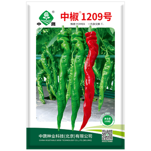 农科院种子蔬菜种孑番茄中国农科院菜籽辣椒籽黄瓜种籽油菜生菜