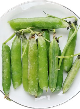豌豆荚臻印映粉嫩清甜青豆米