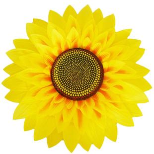 向日葵手持道具手拿花幼儿园舞蹈演出手花太阳花运动会入场表演花