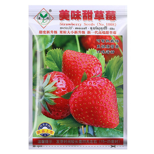家庭阳台盆栽四季易活奶油红草莓种籽子大草莓种籽白草莓种子春秋