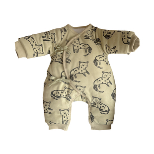 新生儿衣服秋冬a类纯棉爬服加厚棉服连体衣初生宝宝小月龄外出服