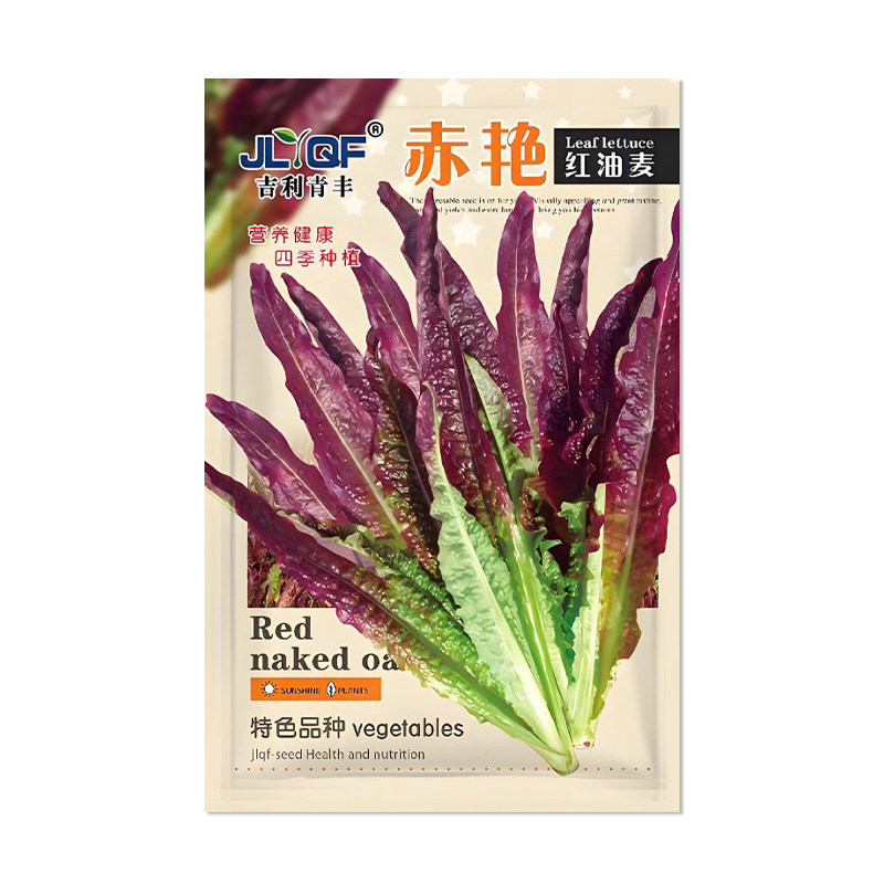吉利青丰赤艳红油麦菜种子