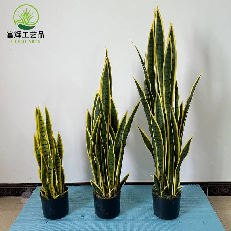 厂家直销仿真虎皮兰盆栽室内装饰植兰北欧绿假风虎皮盆景摆件