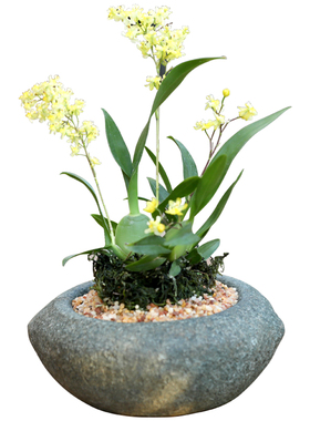 庭院阳台景观花盆花器装饰摆件