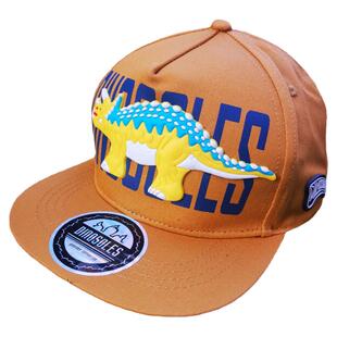 春秋新款男童恐龙帽子 2-4-8岁儿童帽宝宝鸭舌帽小孩潮流棉棒球帽