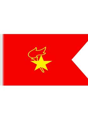 少先队中队旗手持少年先锋队