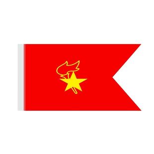 少先队中队旗手持中国少年先锋队队旗中队旗手拿小学生少先队员队旗2号3号4号装饰运动会大队旗户外防晒