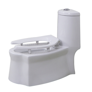 家用蹲坐两用马桶超漩虹吸节水静音抽水墙排后排防臭双用座坐便器