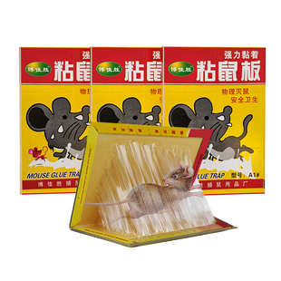 粘鼠板强力粘鼠标超强老鼠贴新款家用强力胶抓杀大老鼠老鼠板灭鼠