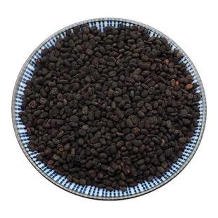 补骨脂中药材正品补骨脂野生破故纸黑故子婆固脂盐炒补骨脂粉500g