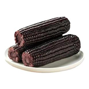 田里有草甜糯玉米黑玉米东北吉林苞谷真空袋装早餐搭挡10穗家庭装