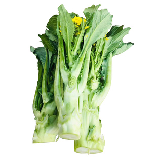 迟菜心增城小楼新鲜现摘现发高脚广东特产5斤整箱蔬菜送礼年货