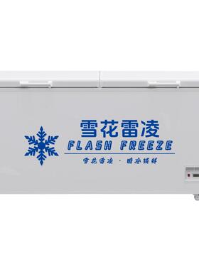 雪花商用家用冰柜卧式冷冻柜冰箱