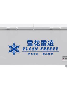 雪花官方旗舰商用家用冰柜