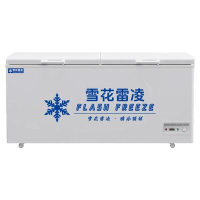 雪花官方旗舰商用家用冰柜