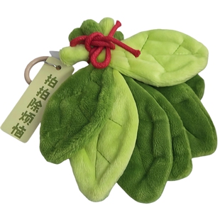 除晦气柚子叶爷爷不泡茶同款好运禄柚周边柚子叶去霉运挂件礼物