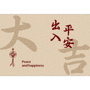 入户门地垫进门地毯门口入户垫子家用门垫轻奢玄关客厅脚垫可定制