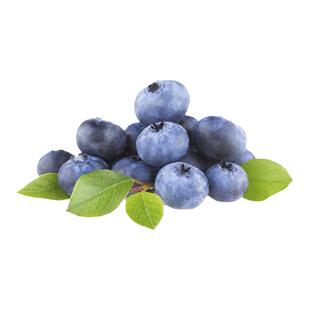 【蓝莓苗】F6优瑞卡L25花香奥尼尔法新薄雾蜜斯梯绿宝石蓝莓树苗