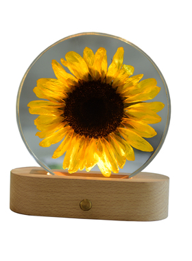 向日葵标本树脂摆件永生花夜灯