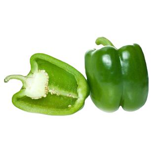 秋冬季蔬菜种子种籽菜籽十一月份11适合秋季都可以种的菜立秋什么