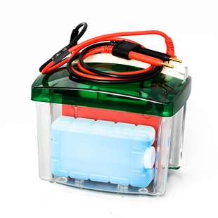 通用bio-rad伯乐小型垂直转印电泳仪转印槽Westernblot转膜电泳槽