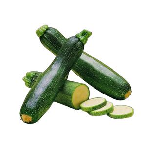 高产农家西葫芦种子早熟抗病耐热特色墨绿全国种植蔬菜长条角瓜籽