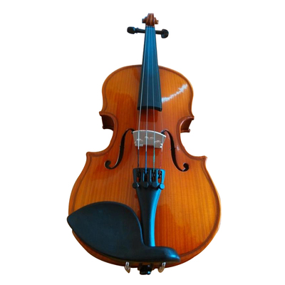 进口欧料小提琴初学者儿童成人