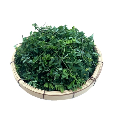 广东新鲜生鸡骨草藤蔓冰袋发货