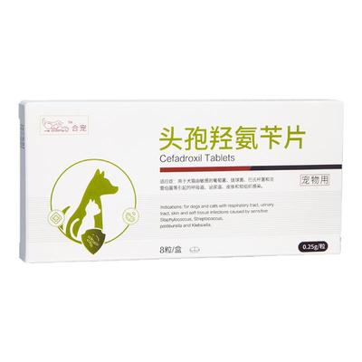 合宠头孢呼吸道泌尿肾肺牙龈炎