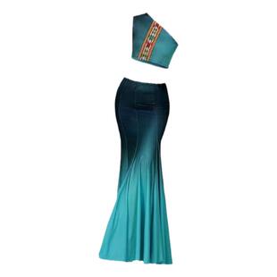 傣族舞蹈演出服练功裙表演服女傣族舞裙孔雀舞鱼尾半身裙艺考服装