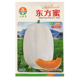 东方蜜一号甜瓜种子超甜正品种籽北方南方冰糖羊香瓜白皮红肉四季