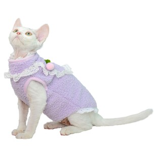 可爱猫咪衣服冬季保暖网红公主风小猫背心矮脚德文猫专用衣服加厚