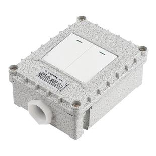 防爆墙壁开关防爆插座五孔220V10A明装86型单开工业照明开关插座