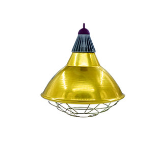 仔猪保温箱灯育雏鸡苗取暖灯泡灯罩可调温度加热小鸡猪养殖带线罩