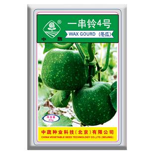 北京农科院粉皮小冬瓜种子串铃冬瓜种籽中蔬一串铃4号冬瓜种子