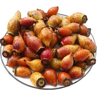 金樱子野生新鲜现摘金罂子鲜果泡酒中药材刺梨子山石榴果5斤包邮