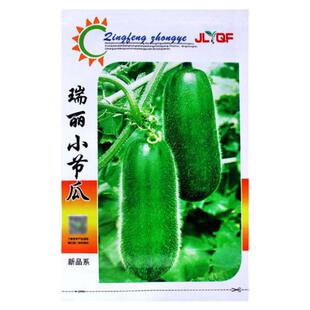 小节瓜种子一节一个瓜小冬瓜种籽毛节瓜小东瓜四季高产蔬菜种孑