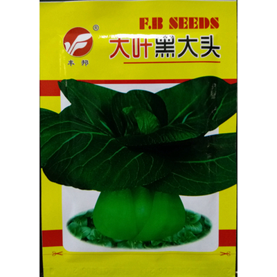 黑大头青菜小油菜种子油菜20克