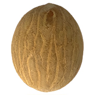 菩提根原子果白玉菩提子原籽真品手串项链108颗散珠菩提戒指diy