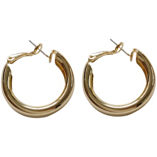 S925银针欧美风新潮冷淡耳环个性夸张大款耳圈金属质感耳饰女1274