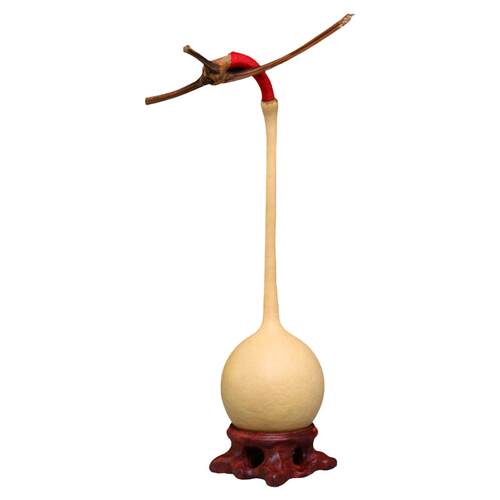 油锤葫芦文玩摆件精品小天然带龙头手捻盘玩把玩随身独把葫芦把件