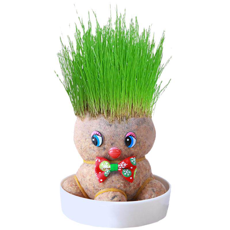 diy长草娃娃幼儿园种植盆栽头上