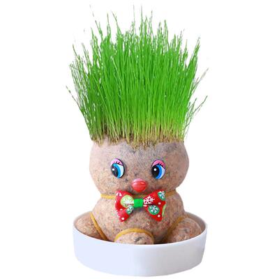 diy长草娃娃幼儿园种植盆栽头上