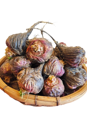 25年新货玛咖干果云南玛卡买1送1
