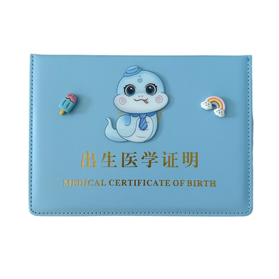 出生证明套接种证皮套蛇宝宝可爱