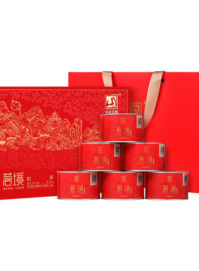 元正茗境礼盒正宗武夷小种红茶