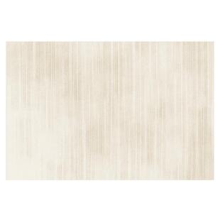 白色高级感地毯客厅奶油风茶几毯房间卧室床边加厚家用地垫侘寂风