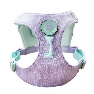 多巴胺色狗狗胸背牵引小型犬胸背带外出背心式工字牵引绳防爆冲