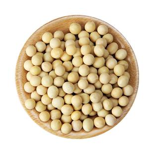 野三坡东北非转基因新黄豆5斤小农家自种大豆生豆芽打豆浆专用